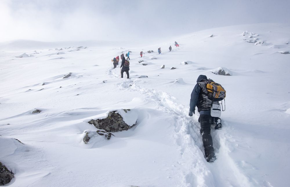 Photograph by Сергей Сынтин