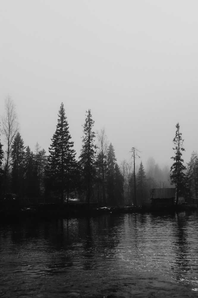 Photograph by Дарья Эглите