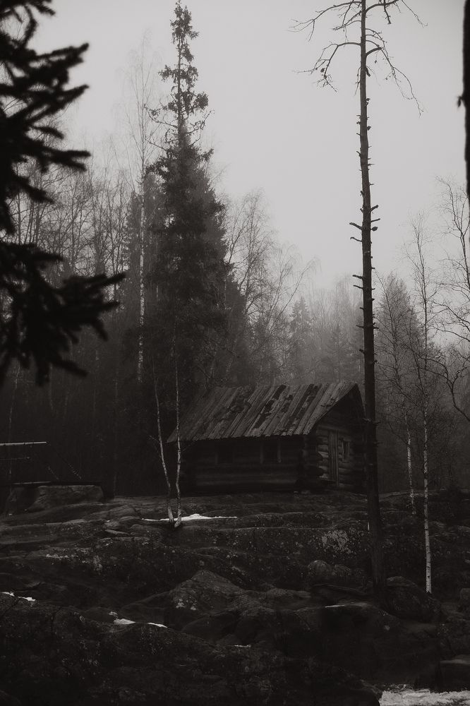 Photograph by Дарья Эглите