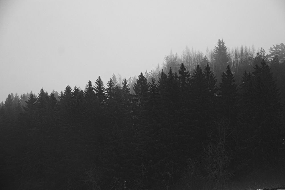 Photograph by Дарья Эглите