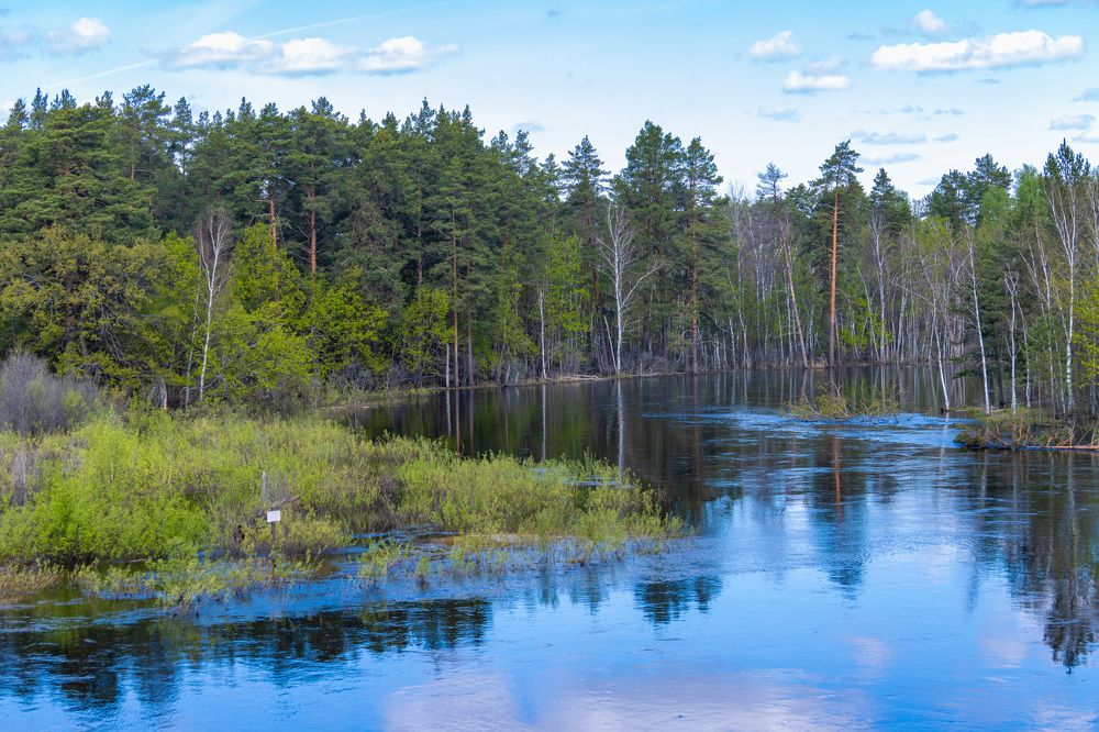 Photograph by Сергей Щербаков