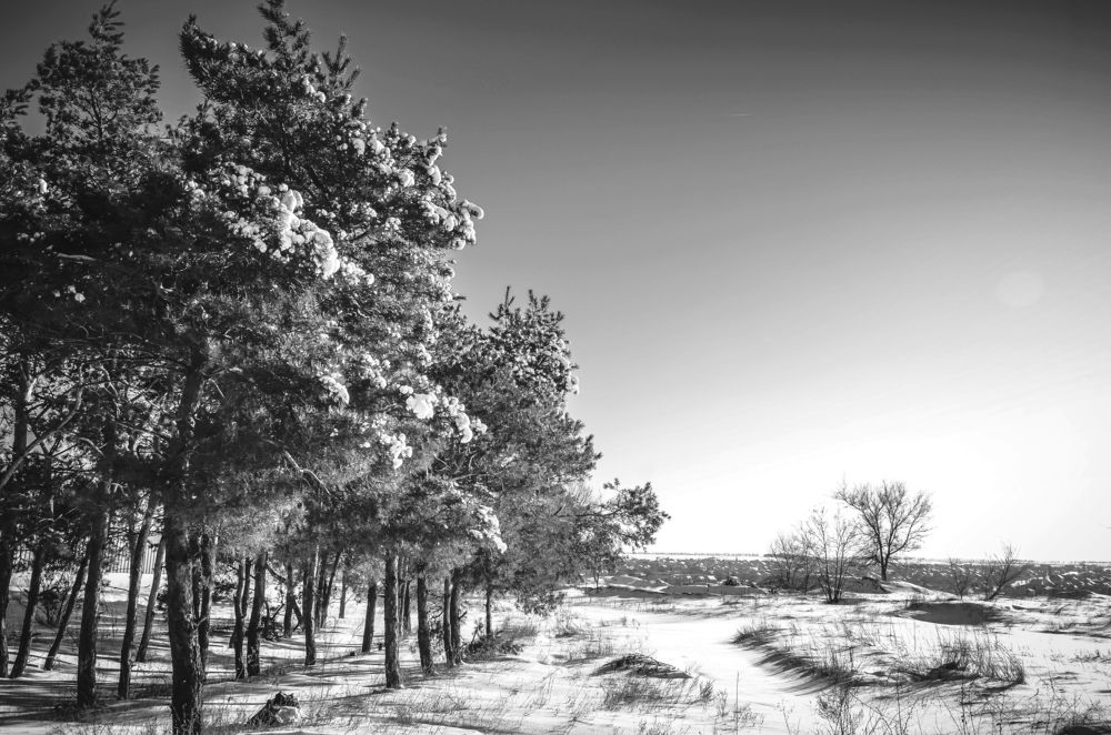 Фотография автора Наталья Алексеева