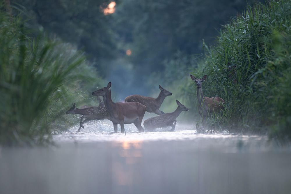 Photograph by Hubert Mielnik