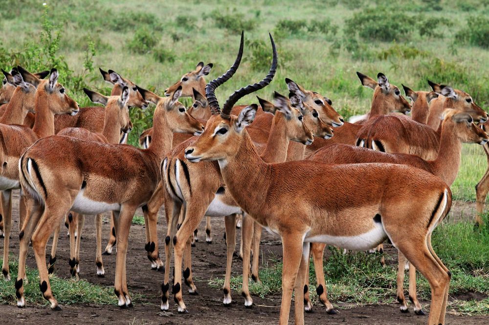 Photograph by Вячеслав Залитко