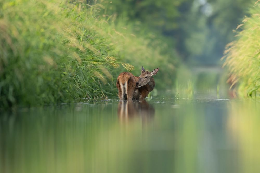 Photograph by Hubert Mielnik