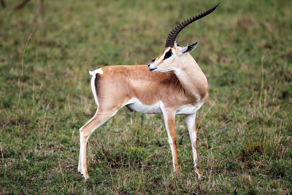 Photograph by Вячеслав Залитко