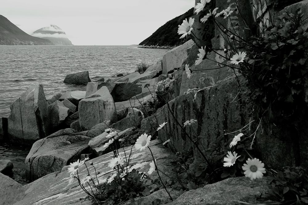 Photograph by DMITRIY DULIN