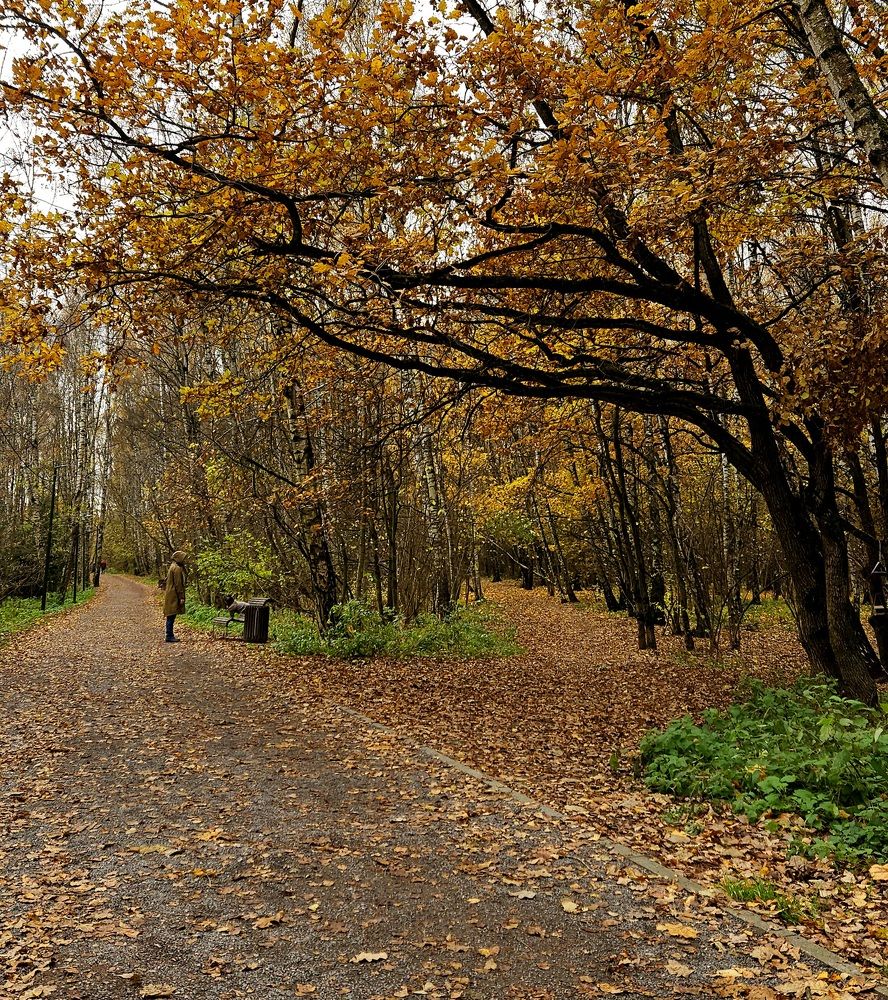 Осень в Тропарёво