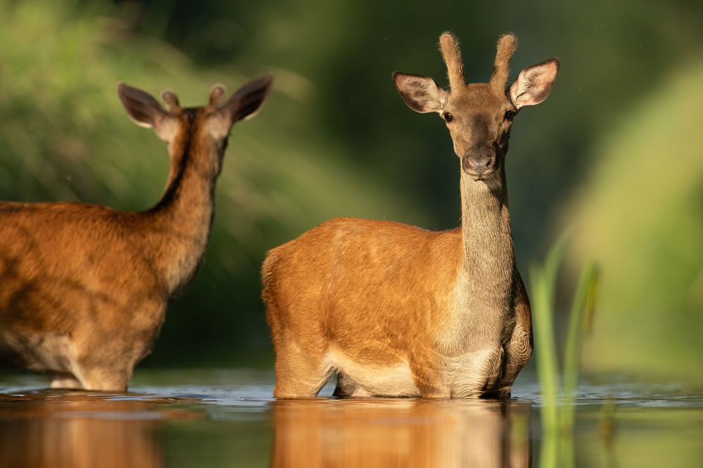 Photograph by Hubert Mielnik