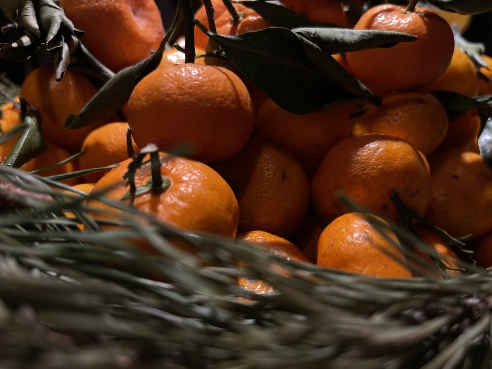 Photograph by Ольга Одаренко