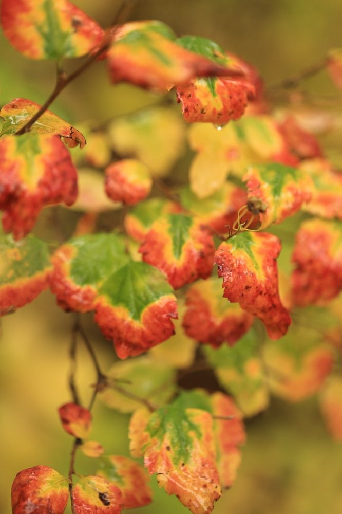 Photograph by Ольга Одаренко