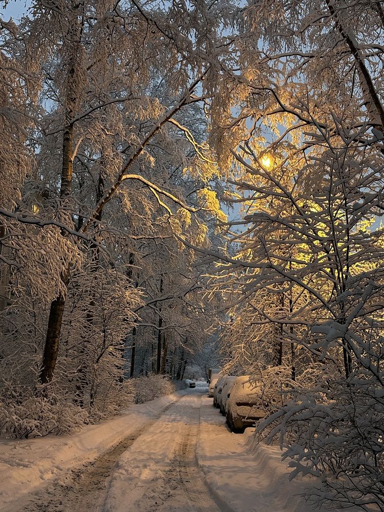 Photograph by Елена Безперстова