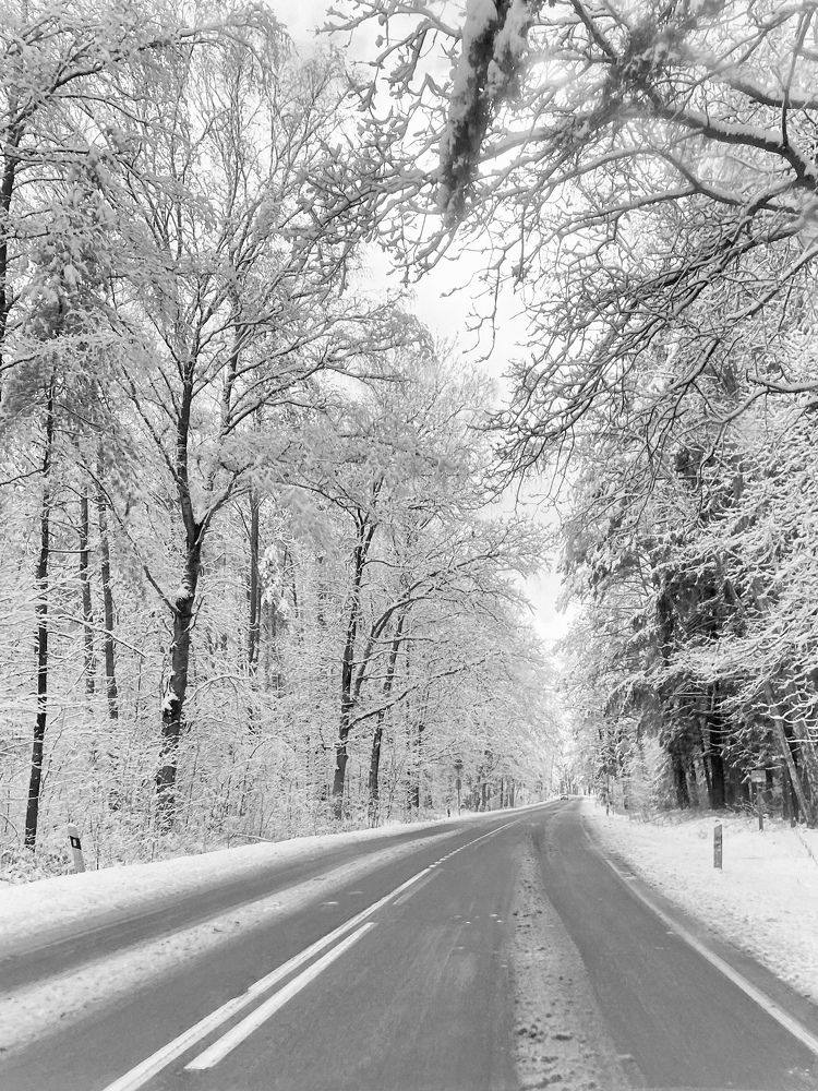 Photograph by Zhanna Kolesnikova