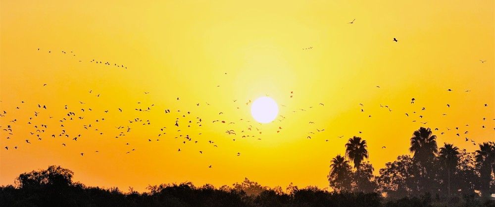 Photograph by Дмитрий Куркулин