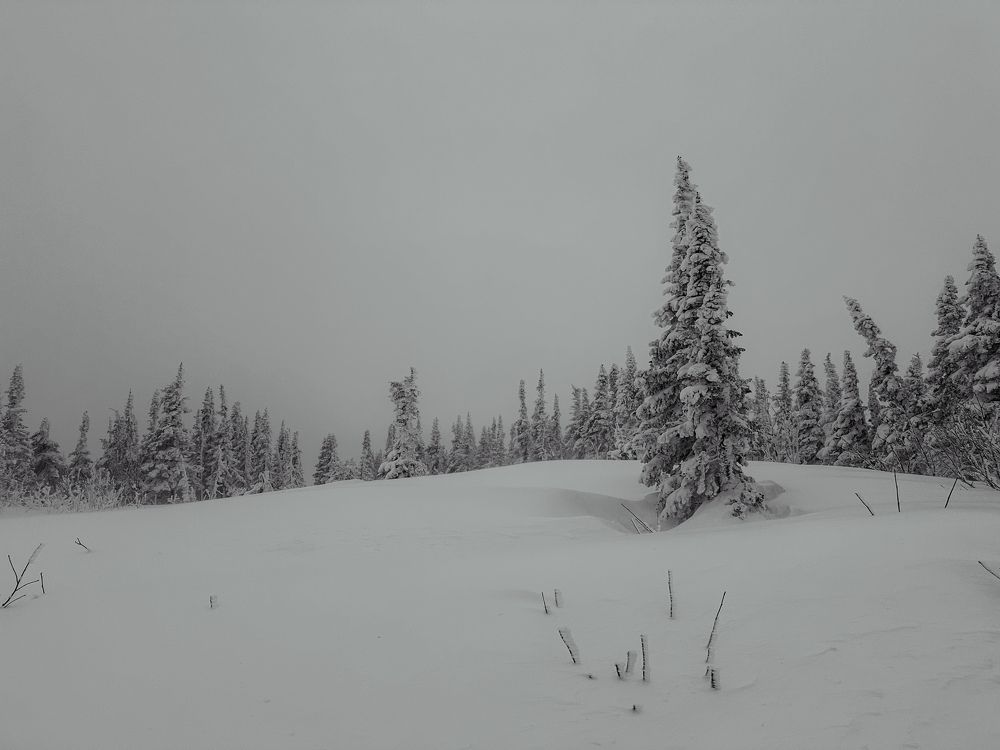 Photograph by Мария Петрова