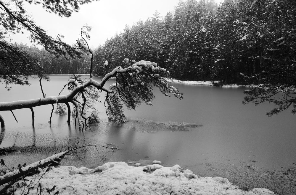 Фотография автора YURY RAMITSAN