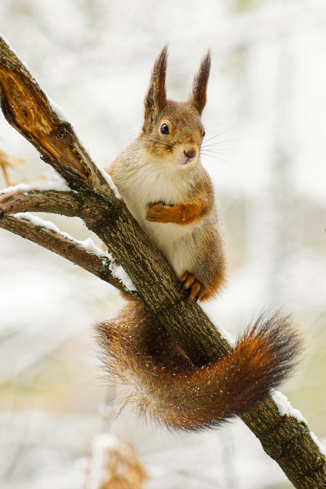 Photograph by Наталья Екимова