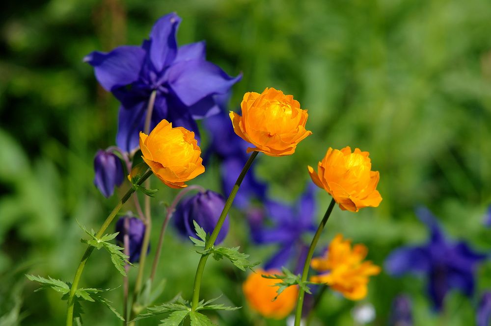 Photograph by Дмитрий Ткаченко