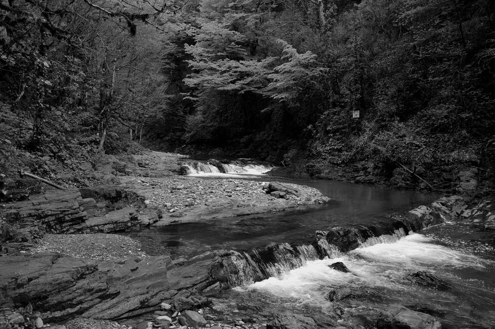 Photograph by DMITRIY DULIN