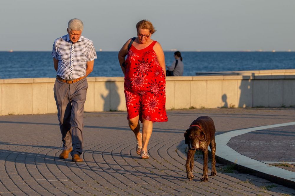 Вечерний променад