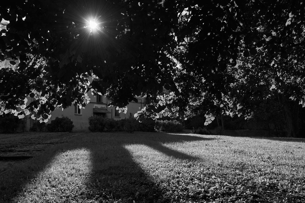 Photograph by Сергей Коваль