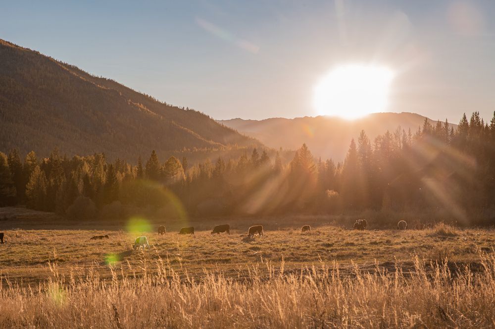 Photograph by Елена Павлова