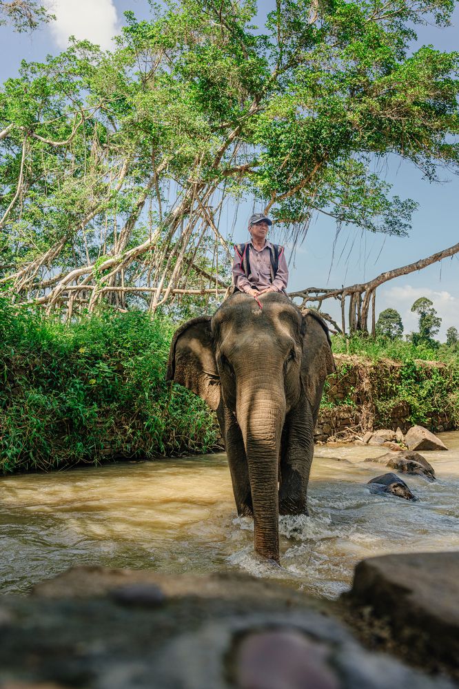 Elephant Mahout in Harmony with Nature