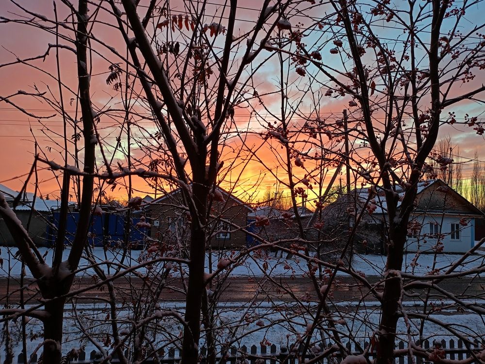 Photograph by Елена Чернякова