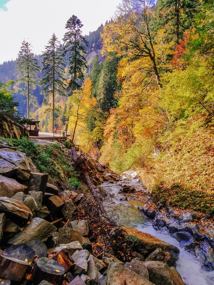 Photograph by Мария Грин (Сычёва)