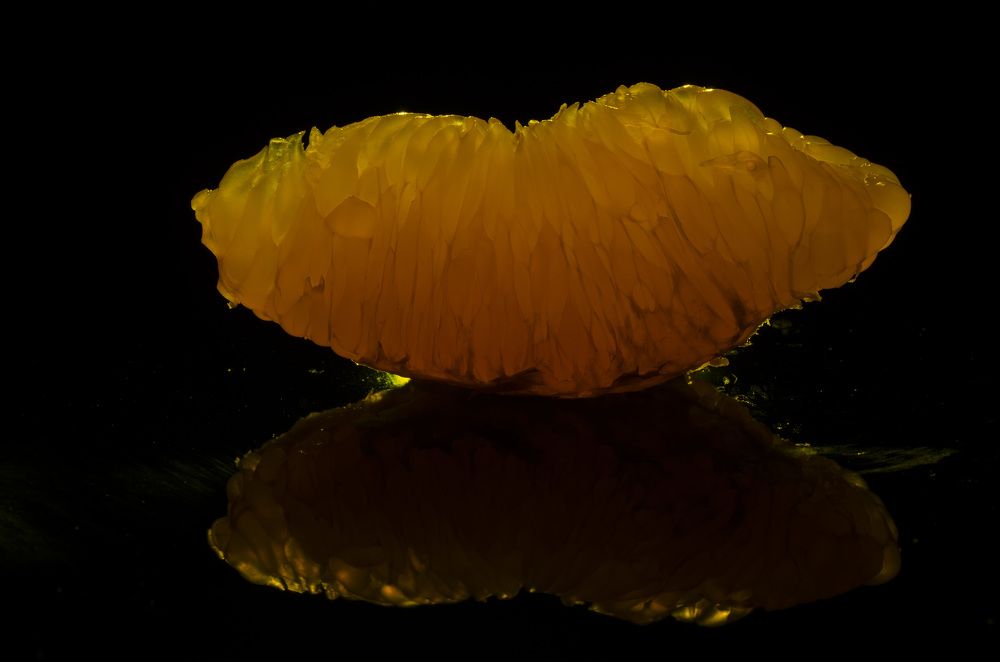 Photograph by Oleg Yashin