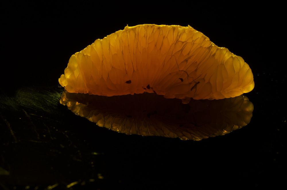 Photograph by Oleg Yashin