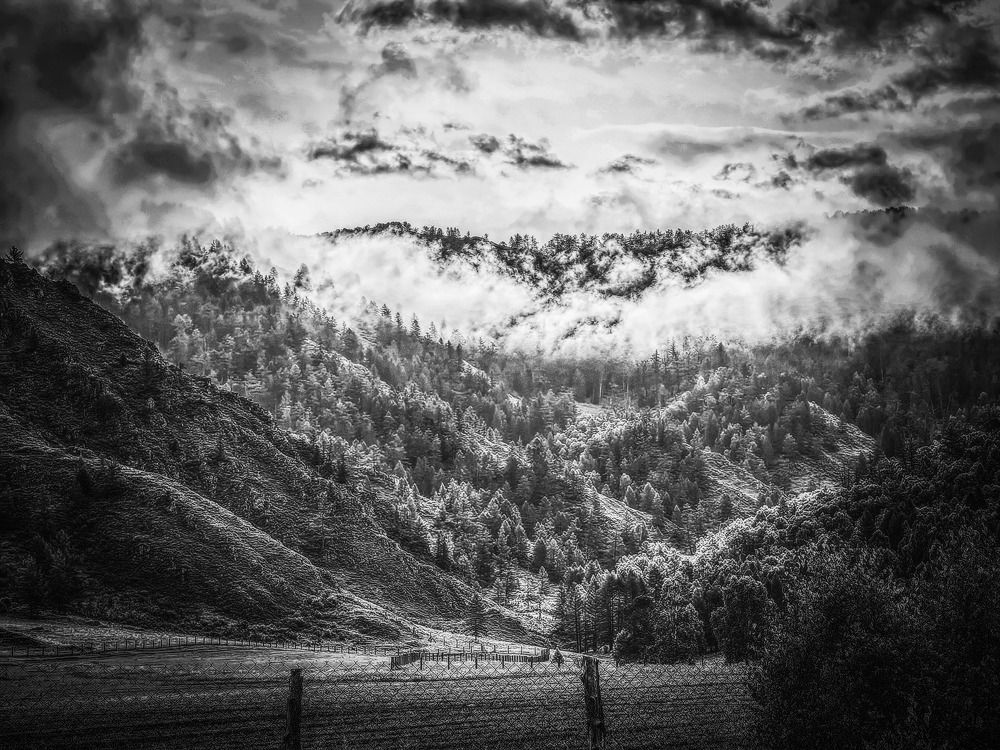 Photograph by Сергей Гриднев