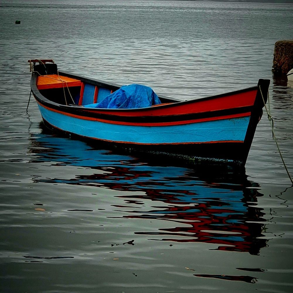 Photograph by Gr Marie