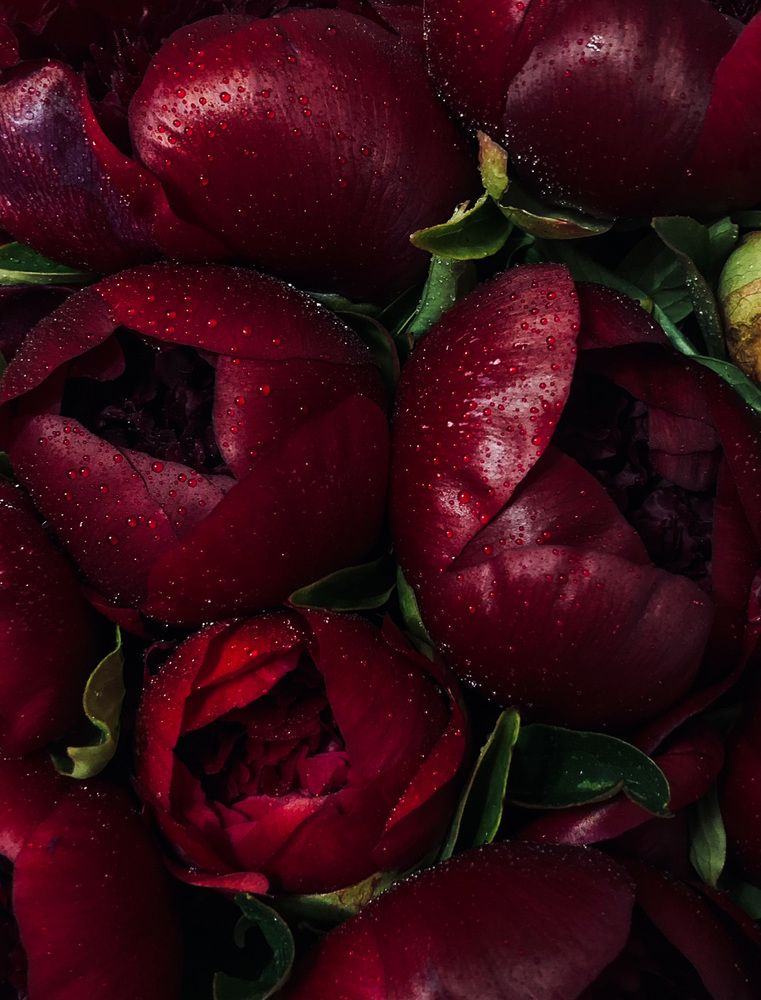 Photograph by Анна