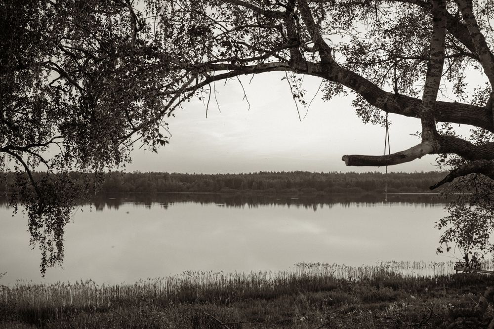 Photograph by Мария Грин (Сычёва)