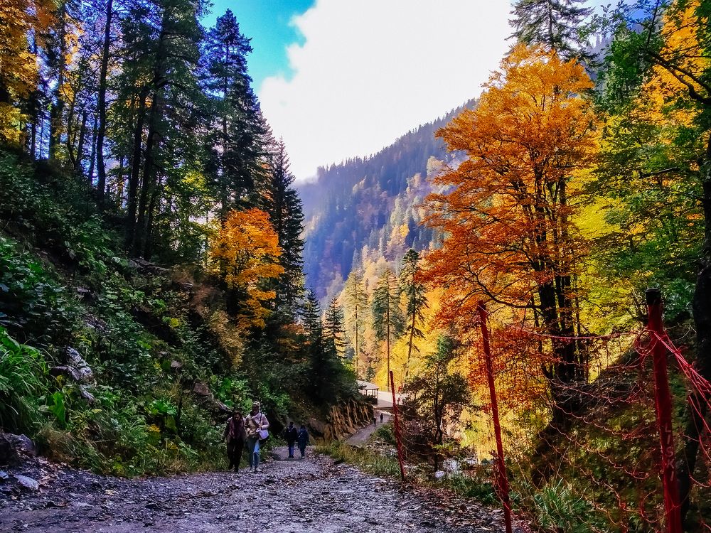 Photograph by Мария Грин (Сычёва)