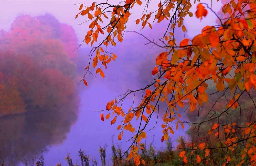 Photograph by Татьяна Слесарева