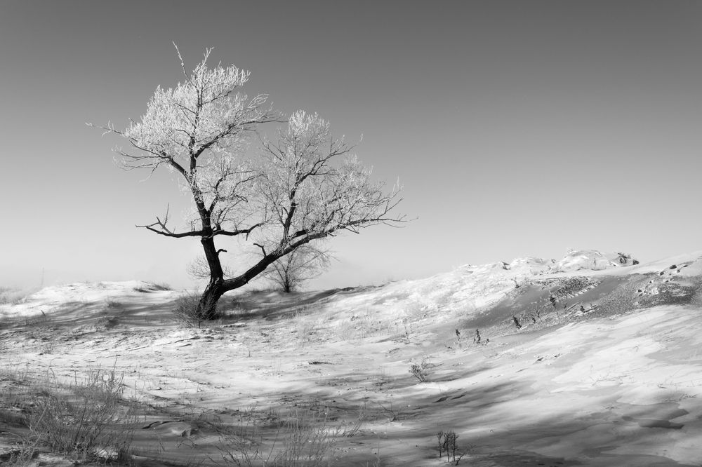 Photograph by Ольга Салтыкова