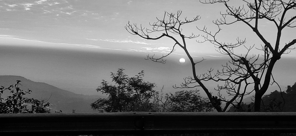 Photograph by Khushi Vashisth