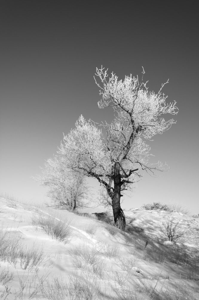 Photograph by Ольга Салтыкова