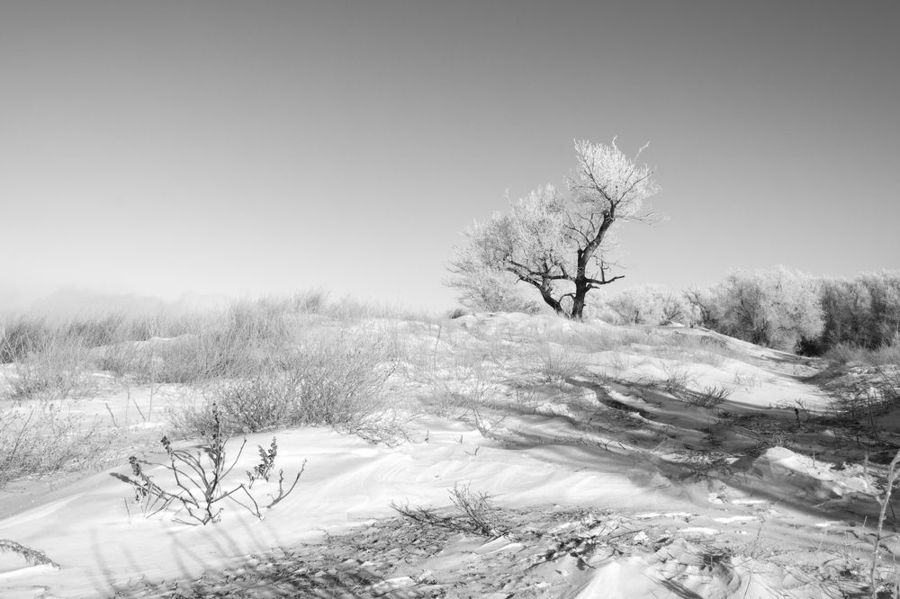 Photograph by Ольга Салтыкова