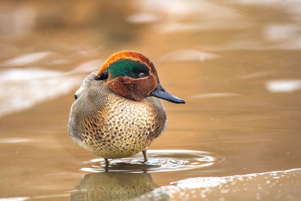 Photograph by Власов Егор
