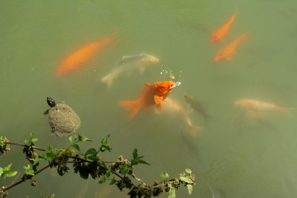 Photograph by Ольга Салтыкова