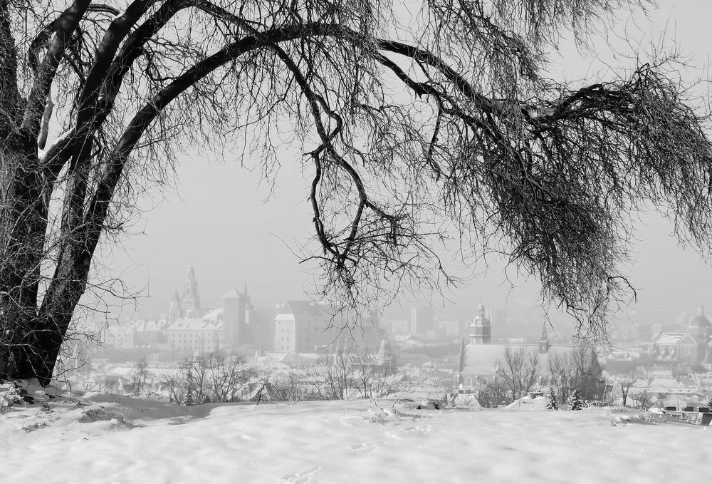 Photograph by Paulina Michałowska