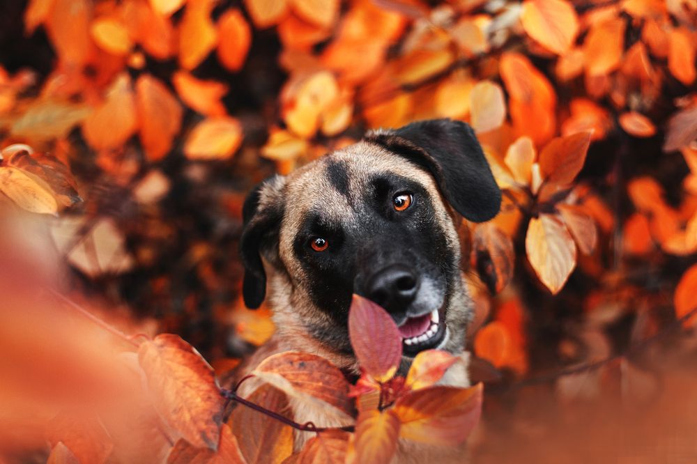 Photograph by Татьяна Степанова