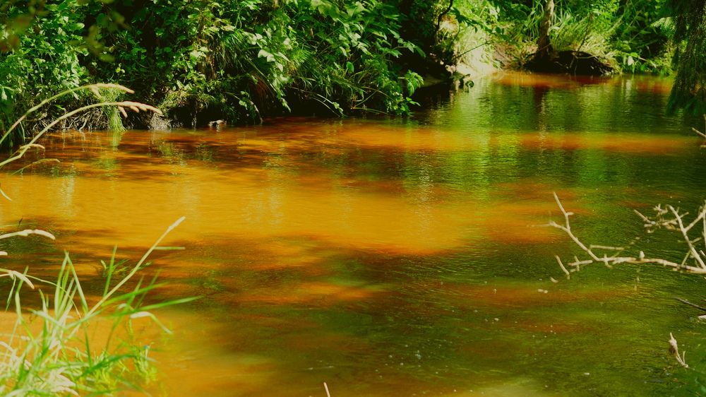 Photograph by Наталья Лобанова