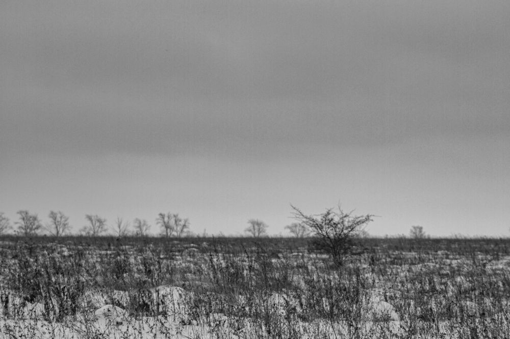 Photograph by Владислав Капанов