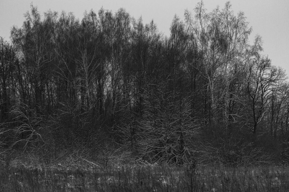 Photograph by Владислав Капанов