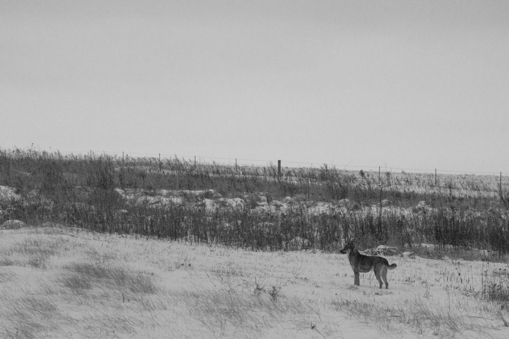 Photograph by Владислав Капанов