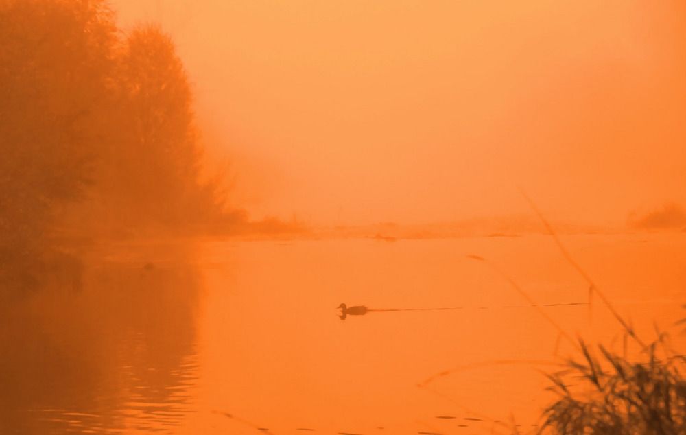 Photograph by Татьяна Слесарева